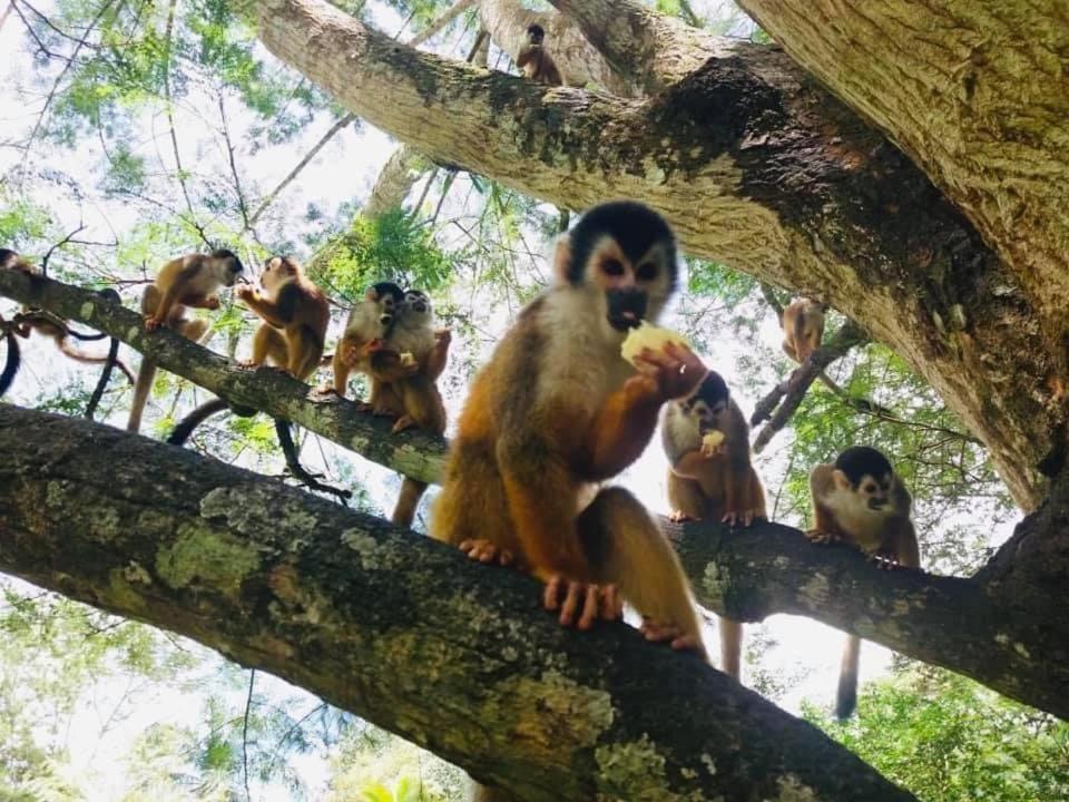 La Purruja Lodge Голфіто Екстер'єр фото