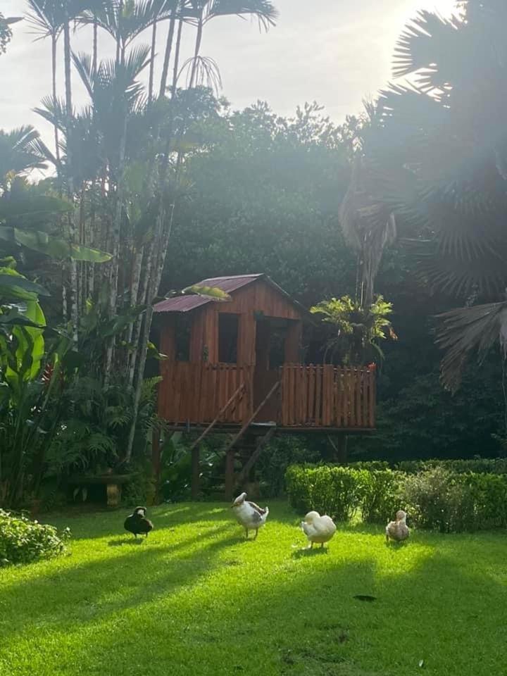 La Purruja Lodge Голфіто Екстер'єр фото